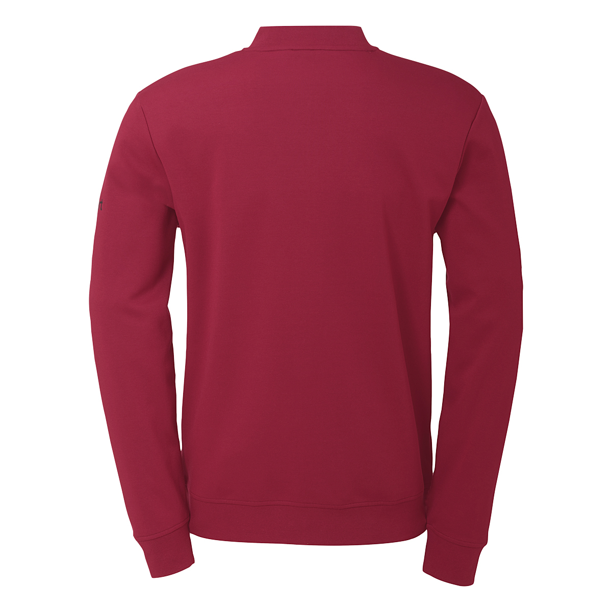 100529664_back 100529664_back