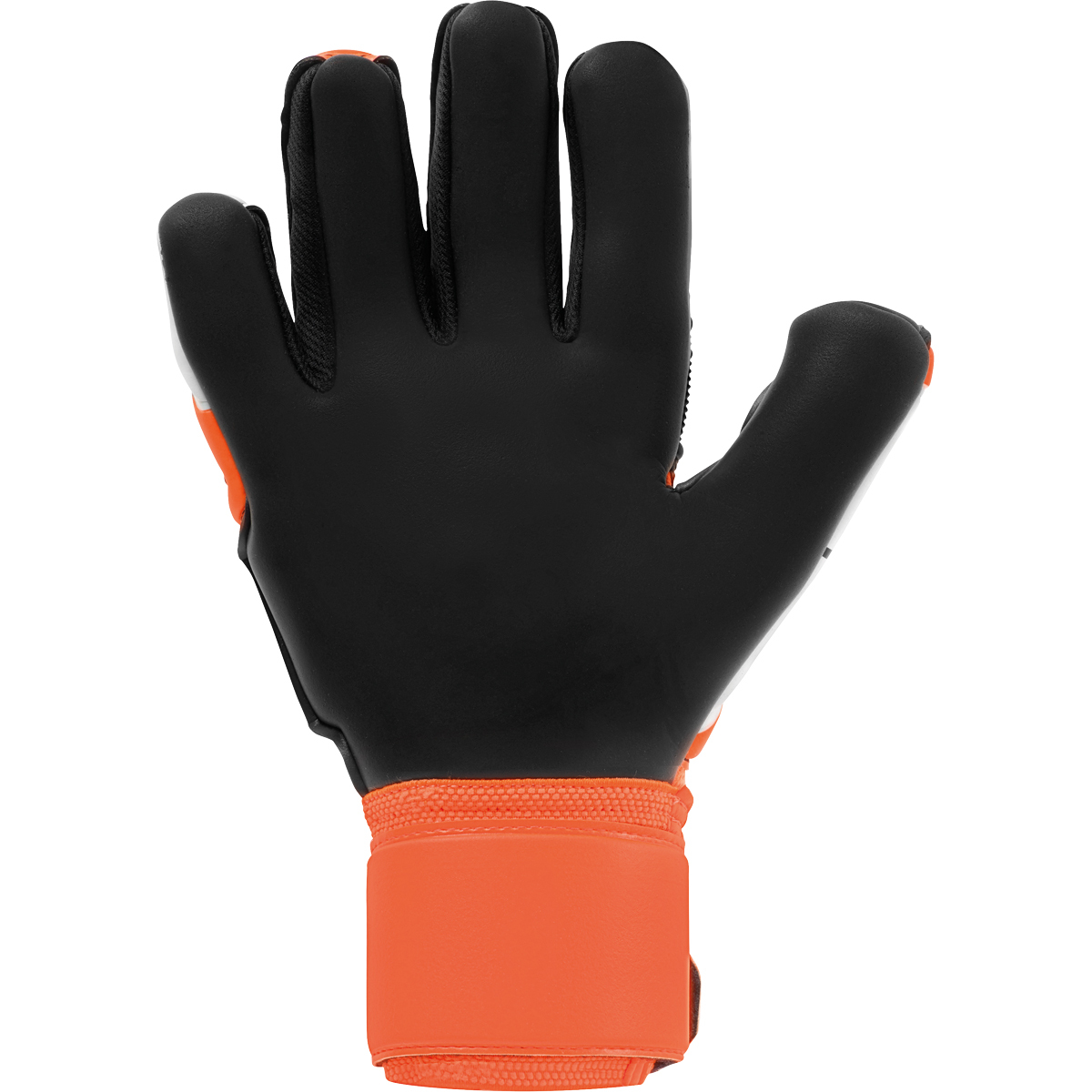 101127301_palm 101127301_palm