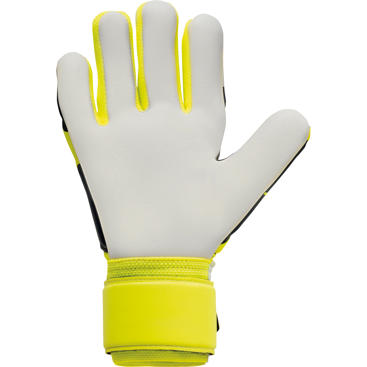 101132201_palm 101132201_palm